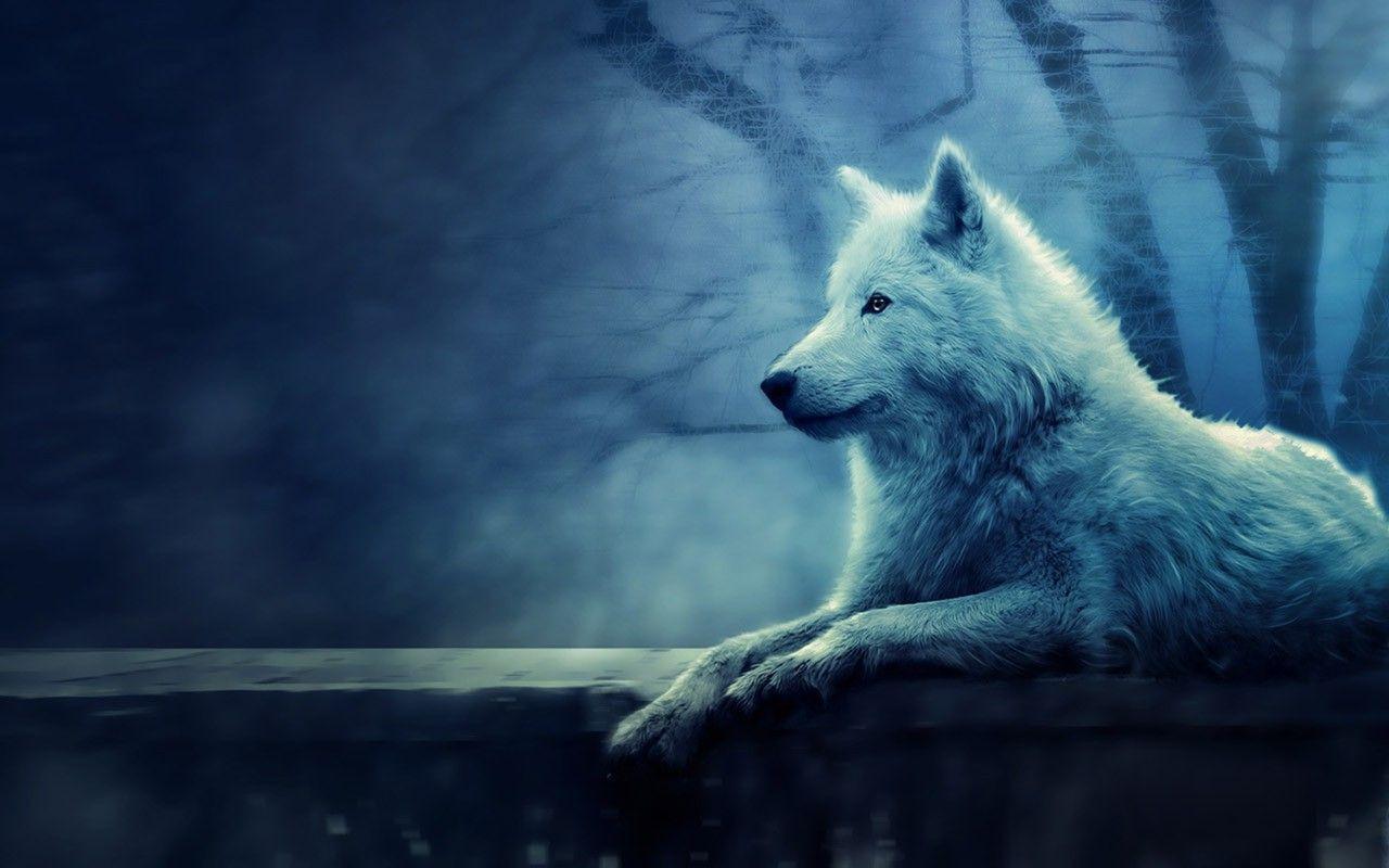 Lone Wolf Wallpapers - Wallpaper Cave
