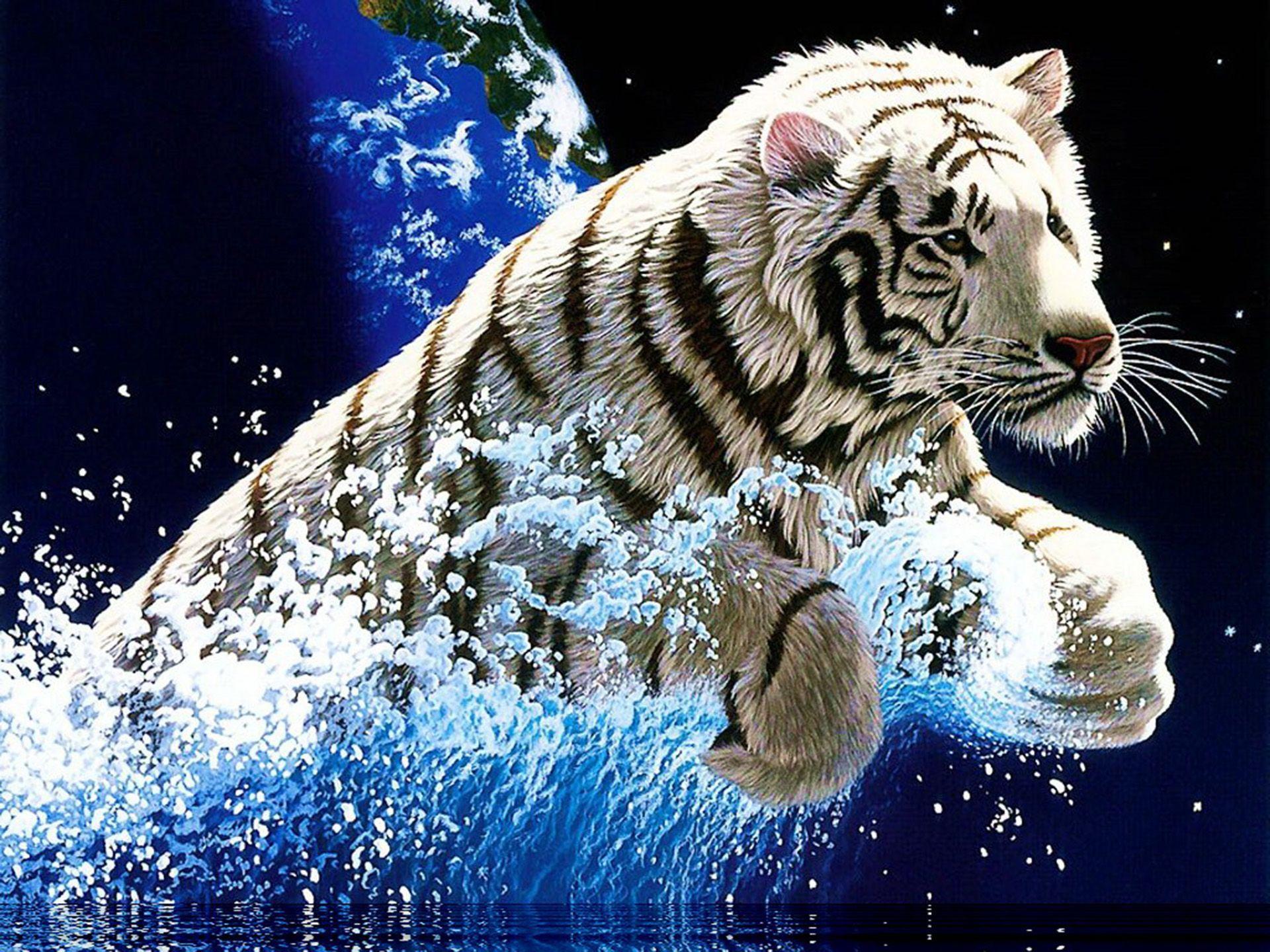 Wallpaper For > Awesome White Tiger Wallpaper