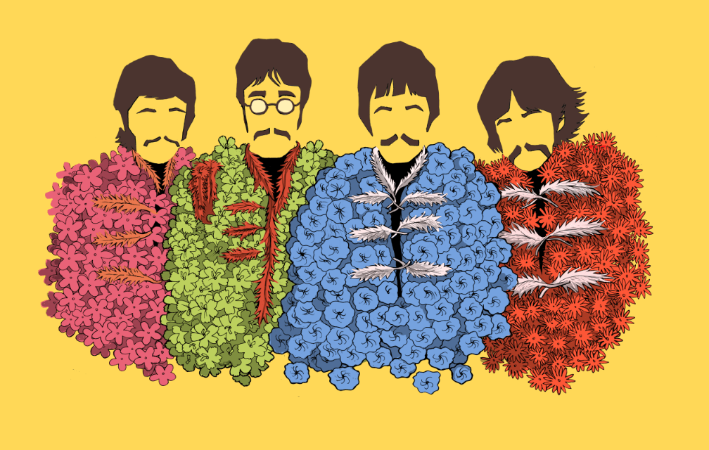 More Like Sgt Peppers Lonely Hearts Club Band