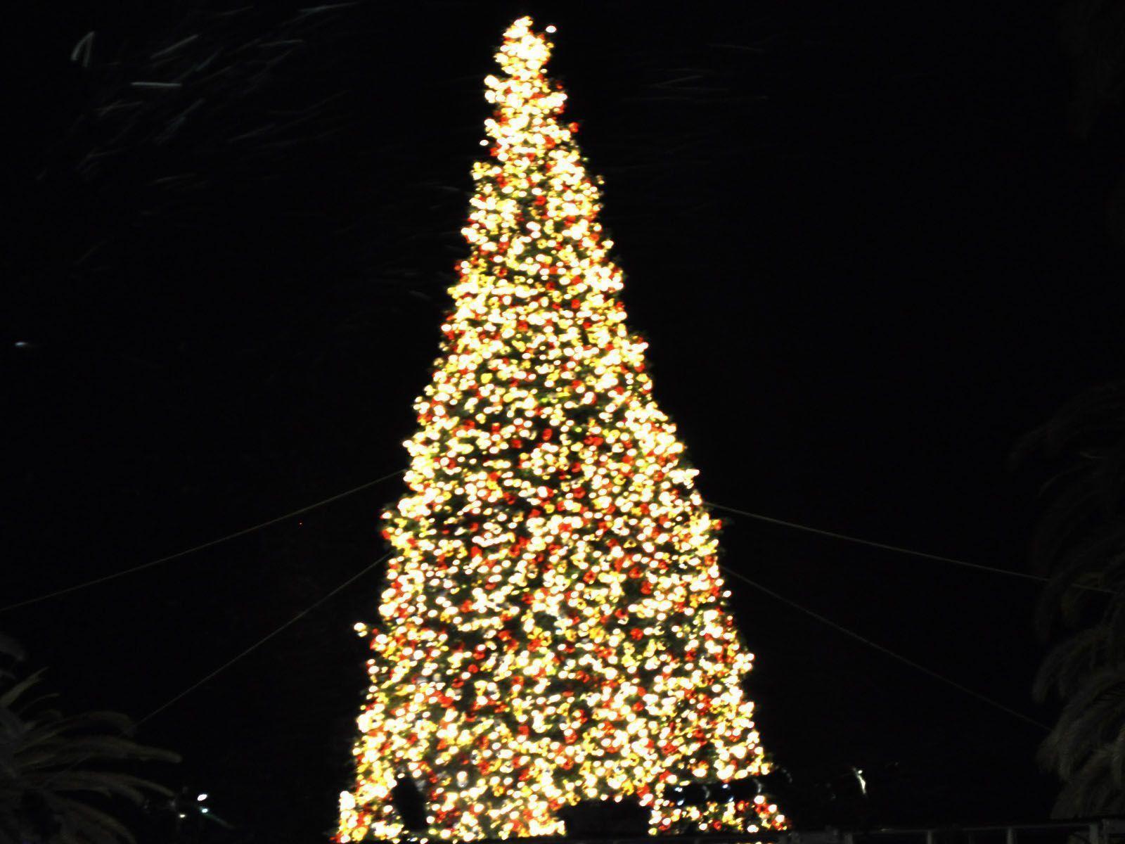 christmas tree desktop background Wallpaper HD Image 10035