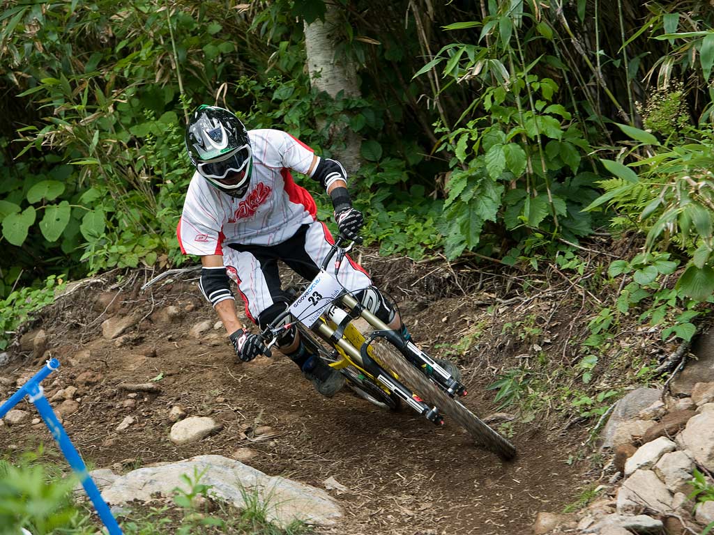 Downhill Mountain Bikes. Bicycle Elements
