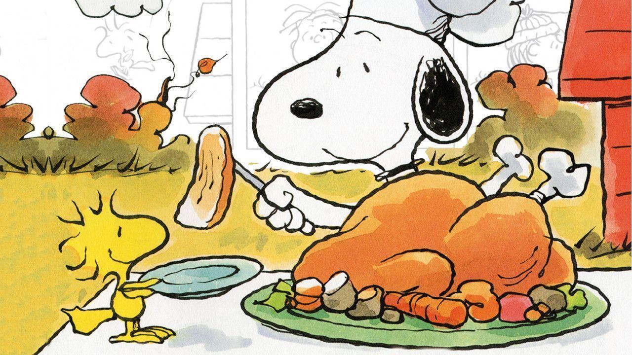 Thanksgiving Holiday Charlie Brown 30167 Hd Wallpapers in