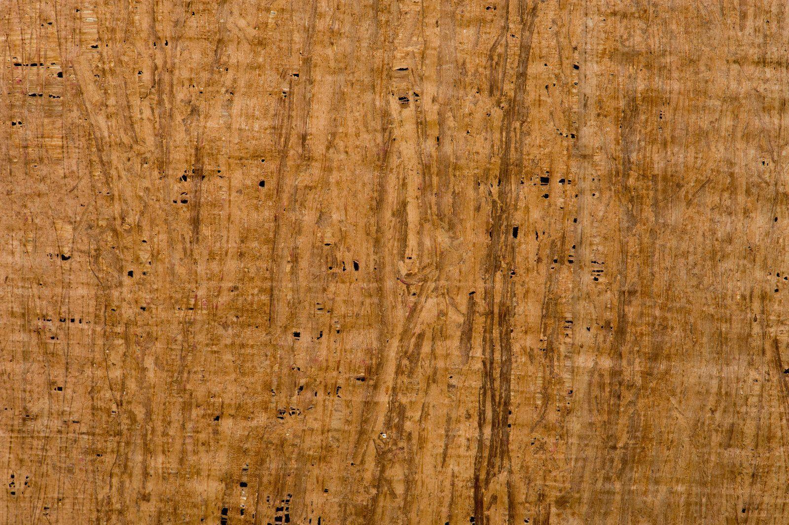 Papyrus Wallpapers Wallpaper Cave Afalchi Free images wallpape [afalchi.blogspot.com]