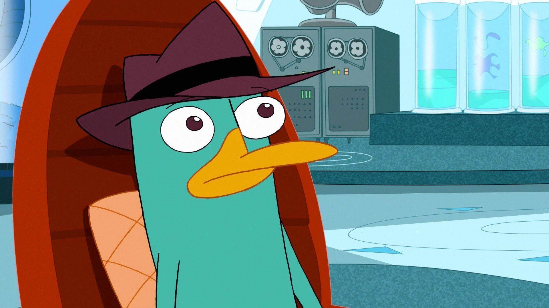 Perry The Platypus Cool Wallpapers Image, Wallpapers, HD.