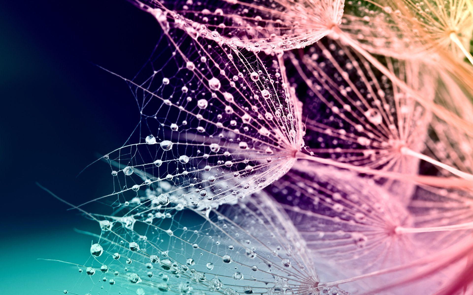 Spring desktop wallpapers amazing collection wallpaper cave