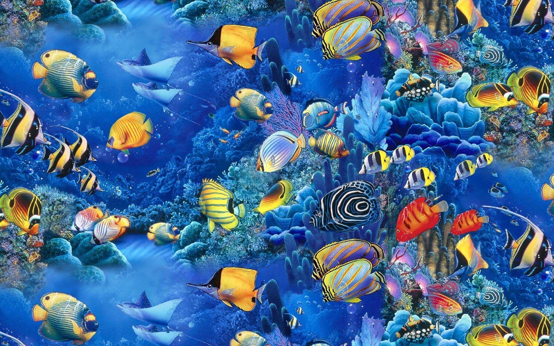 fish wallpaper hd