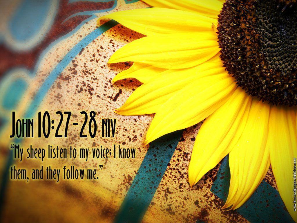 Featured image of post Bible Verse Sunflower Quotes Wallpaper / Wallpaper backgrounds with bible verses wallpaper cave.