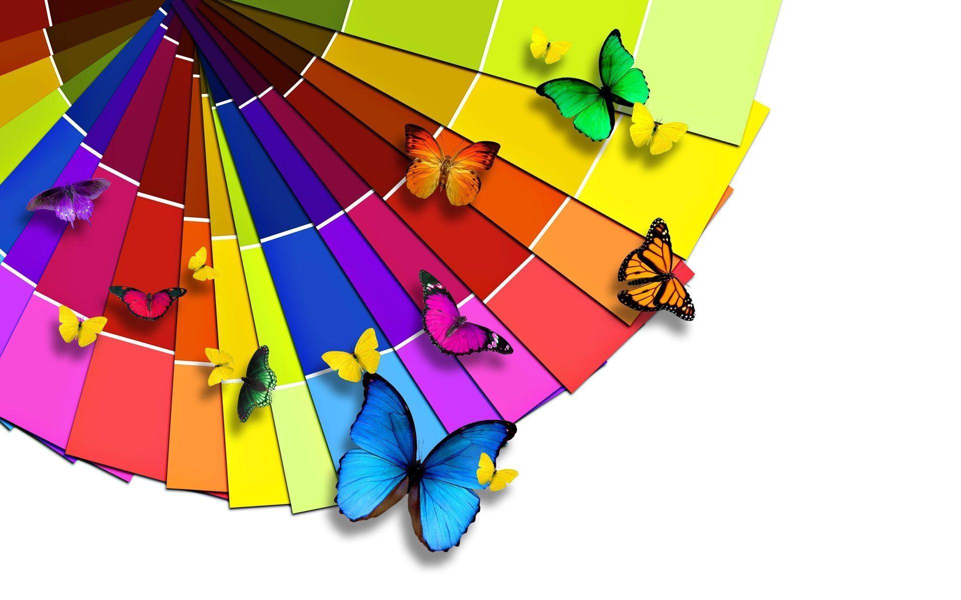 Mr HD Wallpaper. Colorful Butterflies 1920x1080 Widescreen High