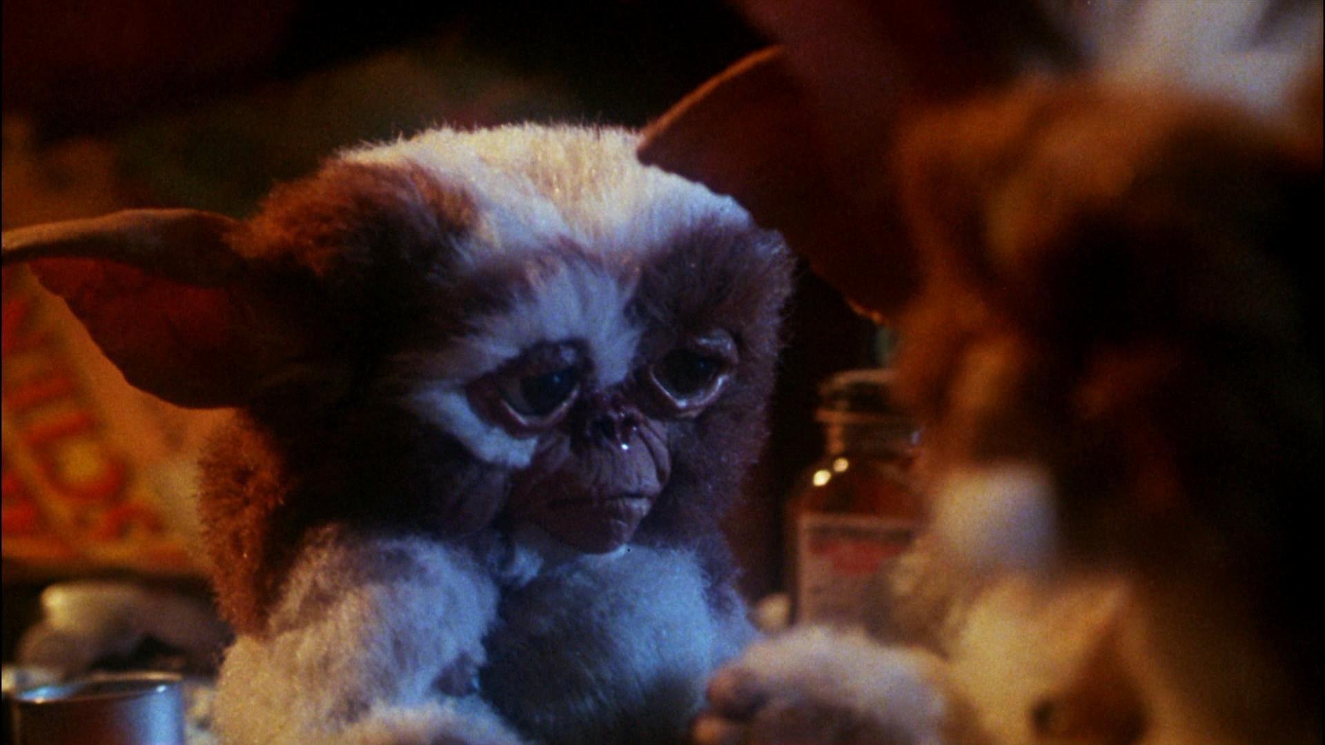 mogwai gremlins gizmo cute