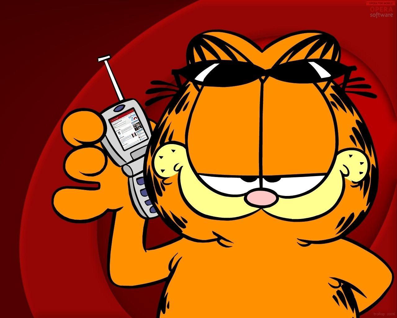 Funny Garfield Wallpapers Wallpaper Cave