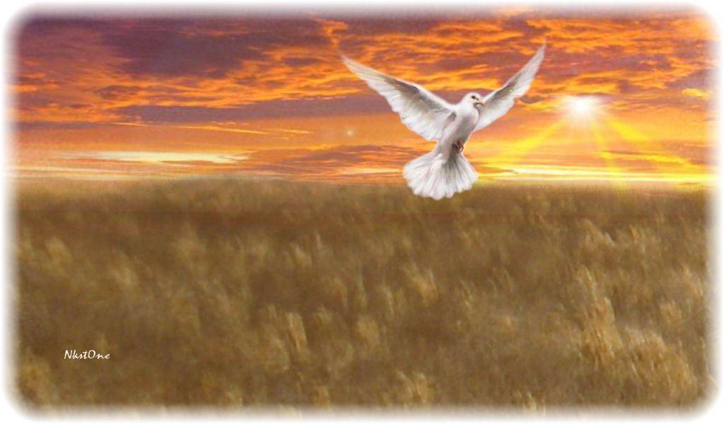 Peace God Wallpaper and Picture Items