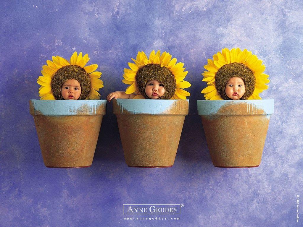 My Free Wallpaper Wallpaper, Anne Geddes