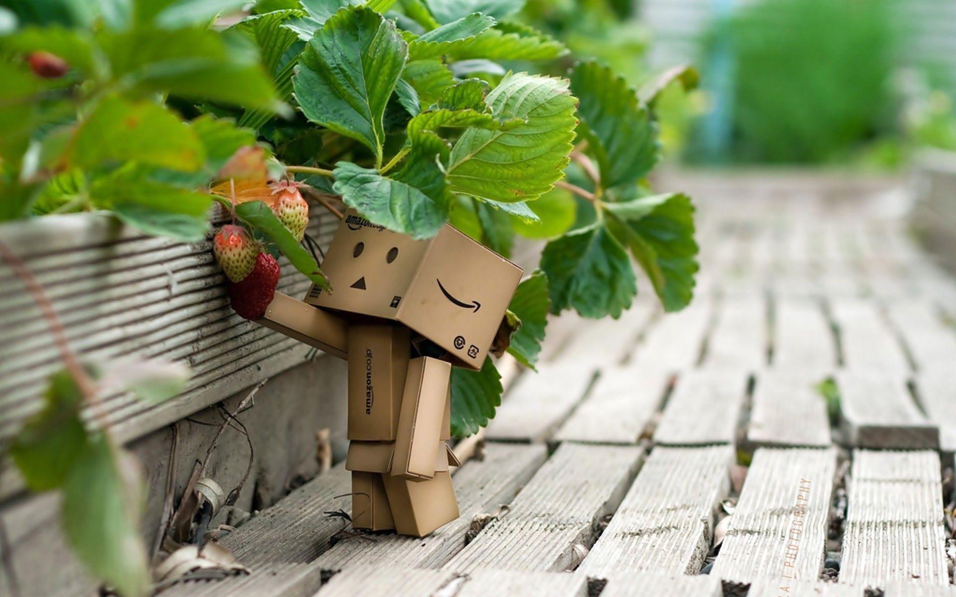 Danbo Strawberry HD Wallpaper Wallpaper. ForWallpaper