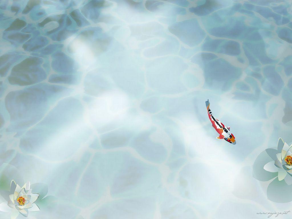 Koi Wallpaper and Picture Items