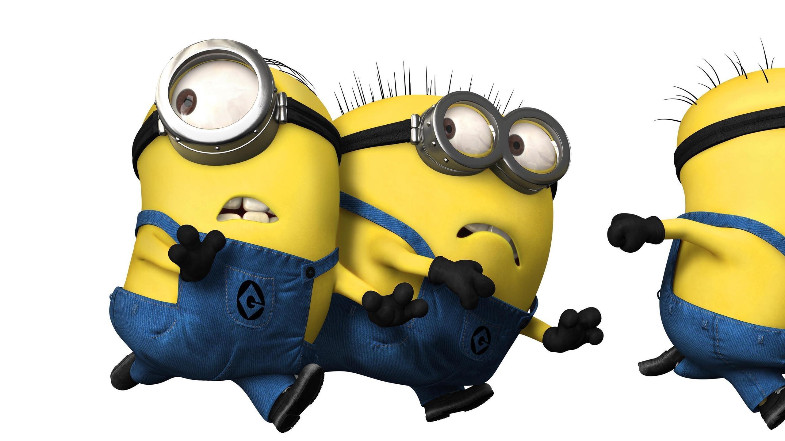 Dispicable Me 2 Movies Wallpaper Windows