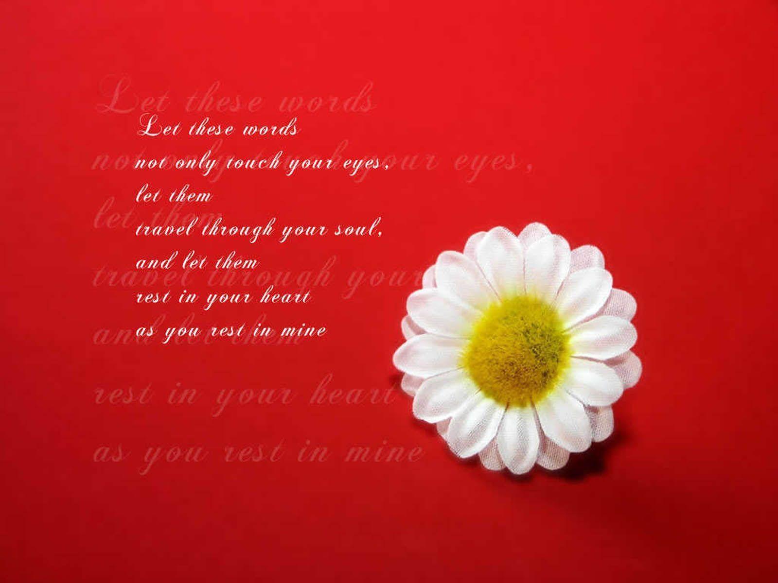 Love Quotes Wallpaper For Desktop, HQ Background. HD wallpaper