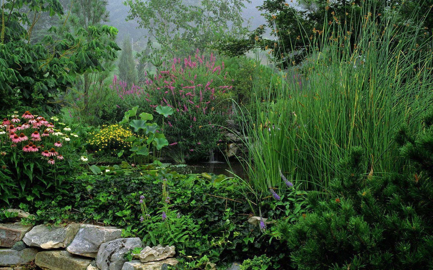 Pin Background Vol4 Wind Aqua Abstract Design Wallpaper