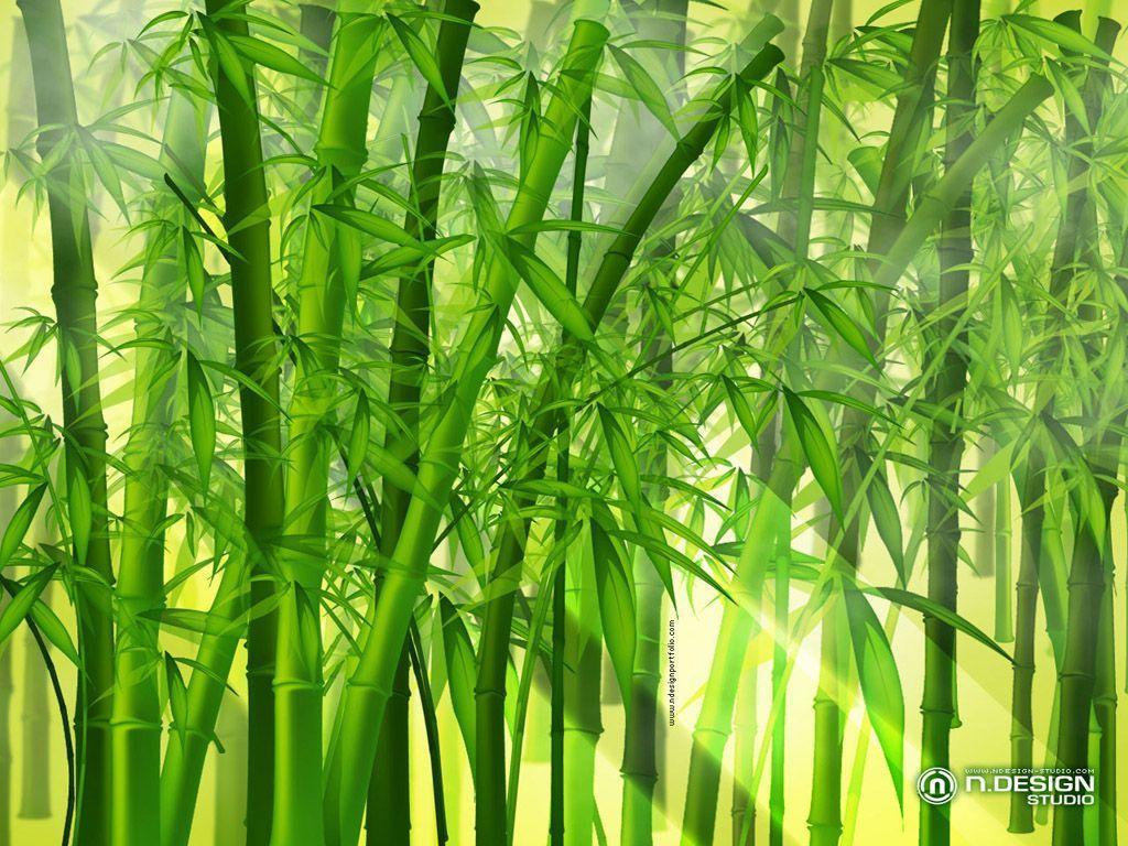 Green bamboo Wallpaper Wallpaper 14533