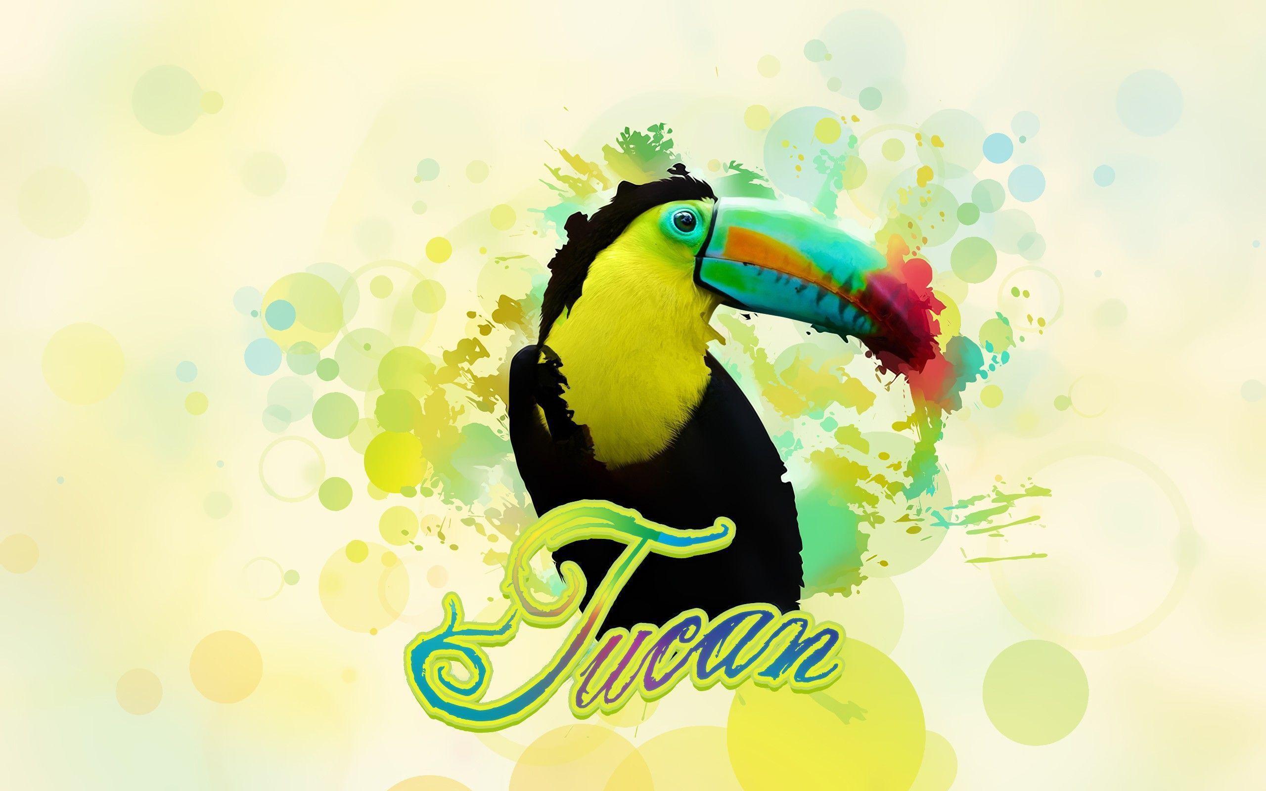 Bird Toucan in the paints wallpaper and image