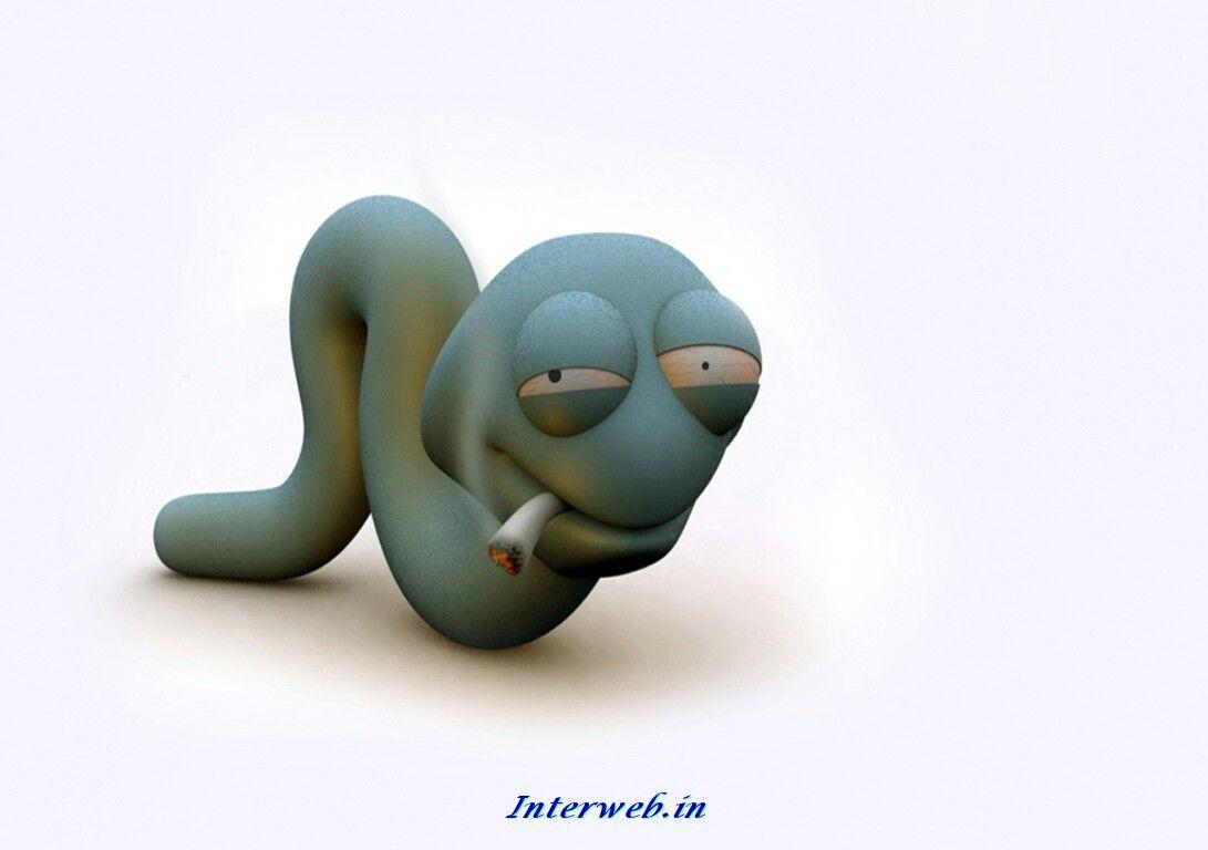 Funny computer wallpaper