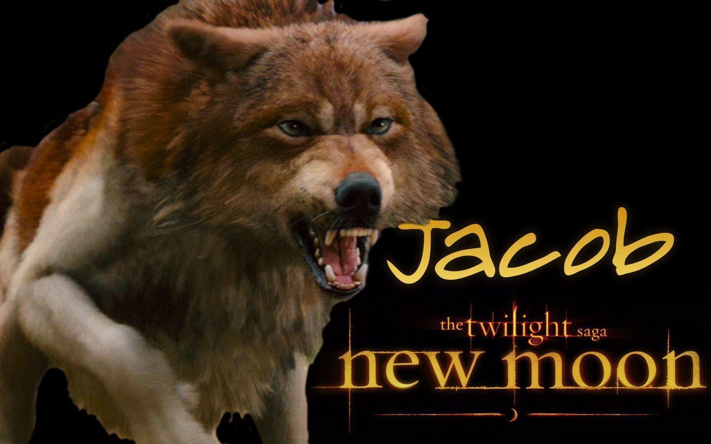 Jacob Black Wolf New Moon Image & Picture