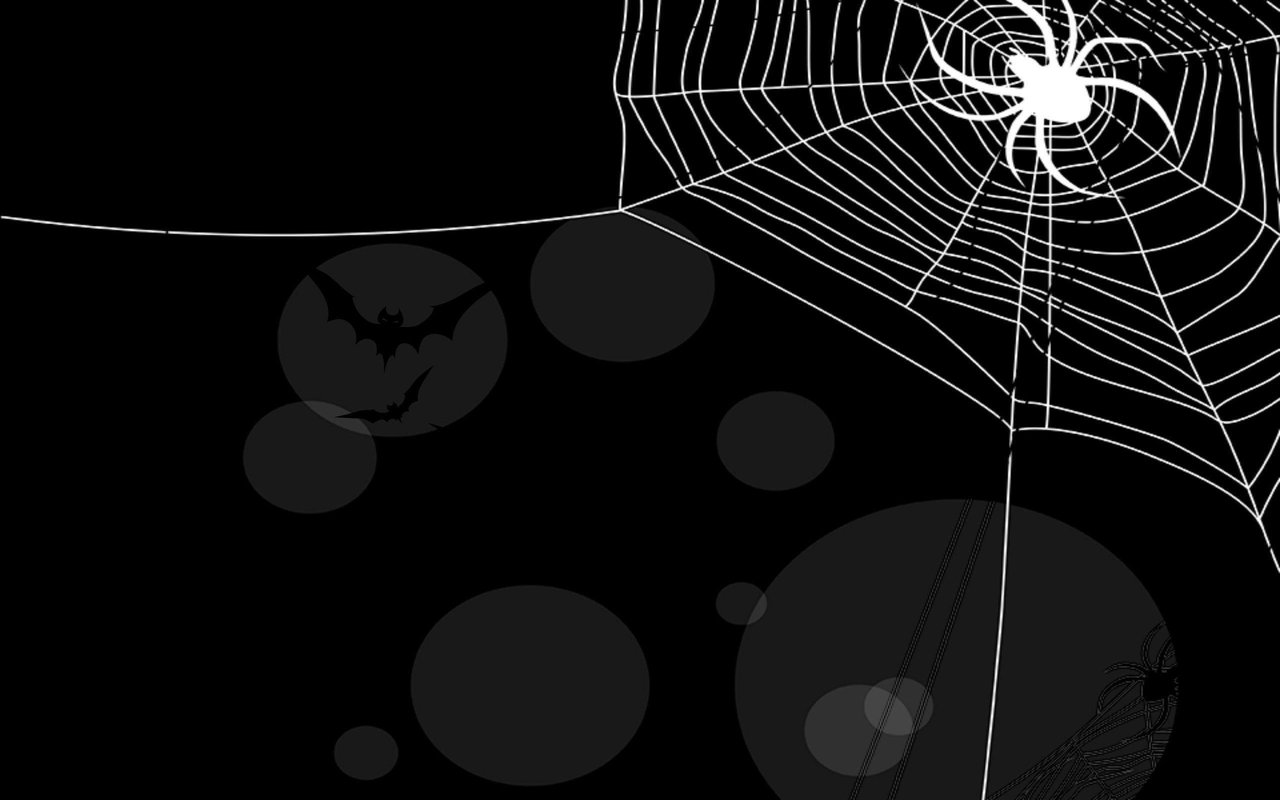 Halloween Background Spider, Spider Web and Bats widescreen