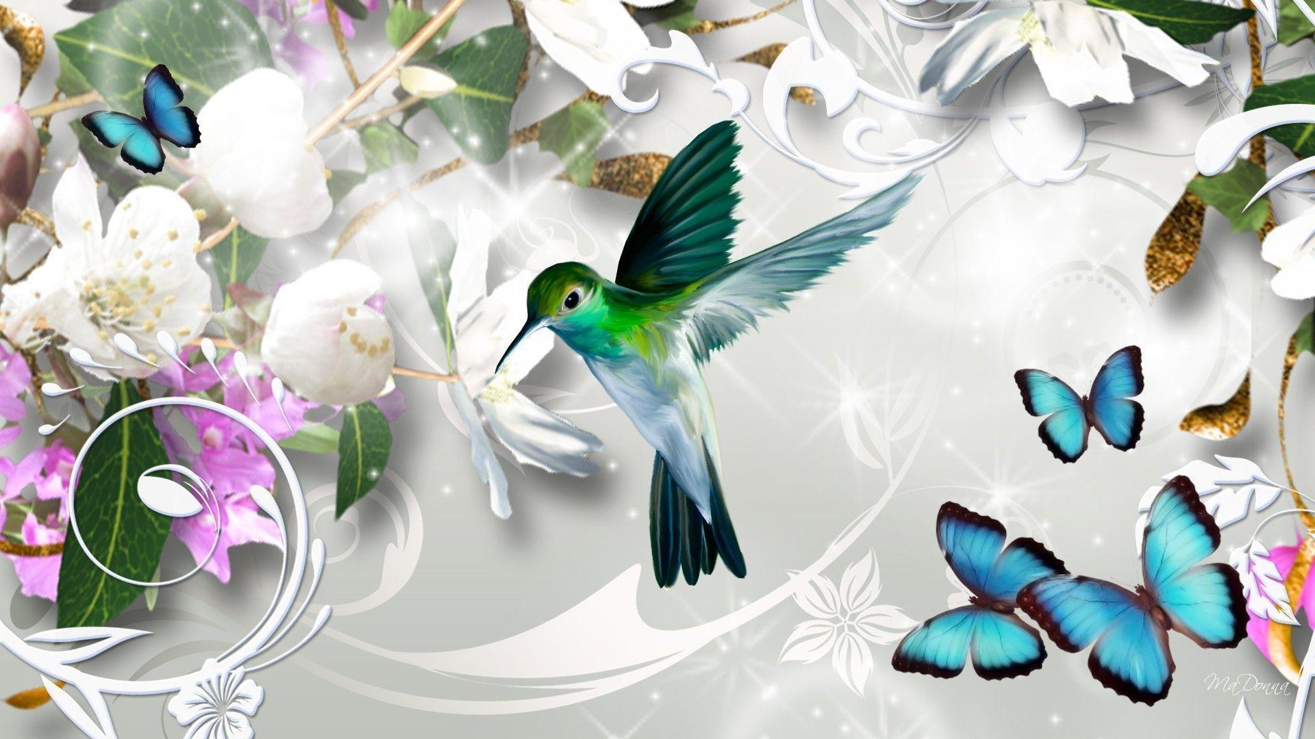 Animals For > Hummingbird Wallpaper Abstract