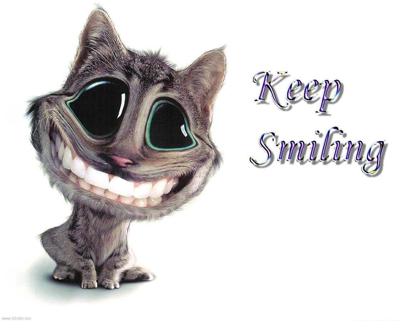 Funny Wallpaper Computer 87