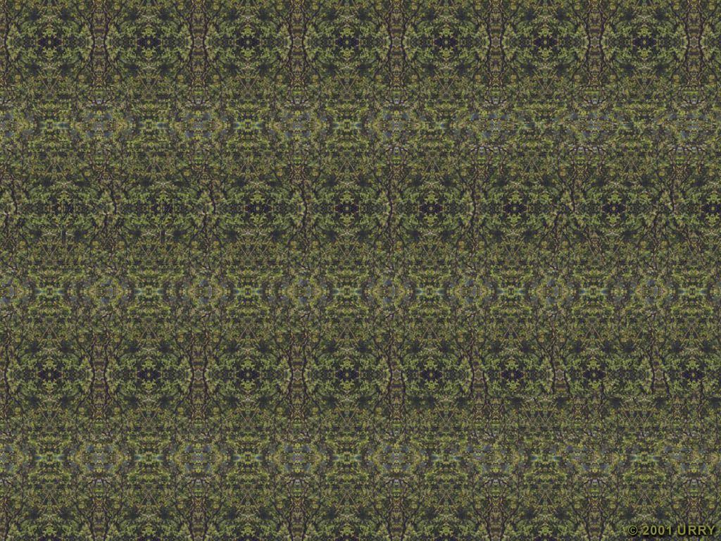 Wallpaper Stereogram Optical Illusion HD 1024x768PX Wallpaper