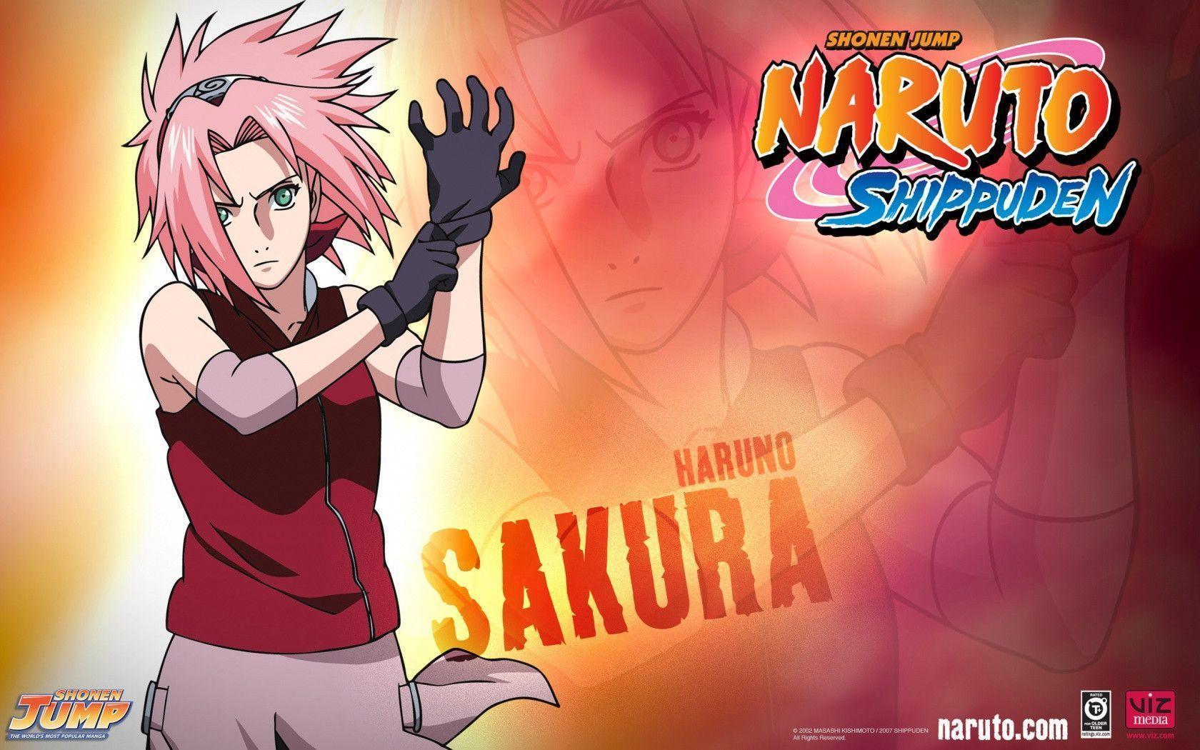 sakura Shippuuden Wallpaper