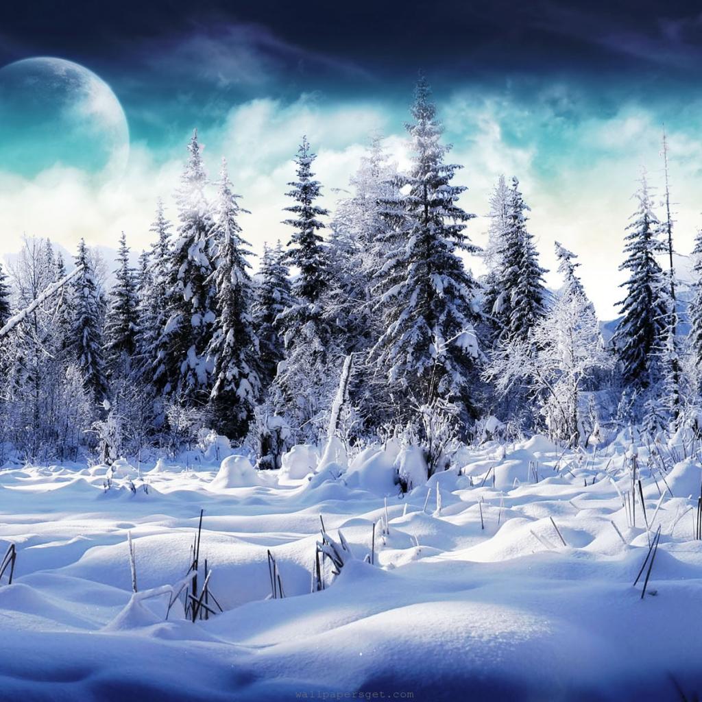iPad Wallpaper: Free Download 2012 Christmas Winter Wallpaper