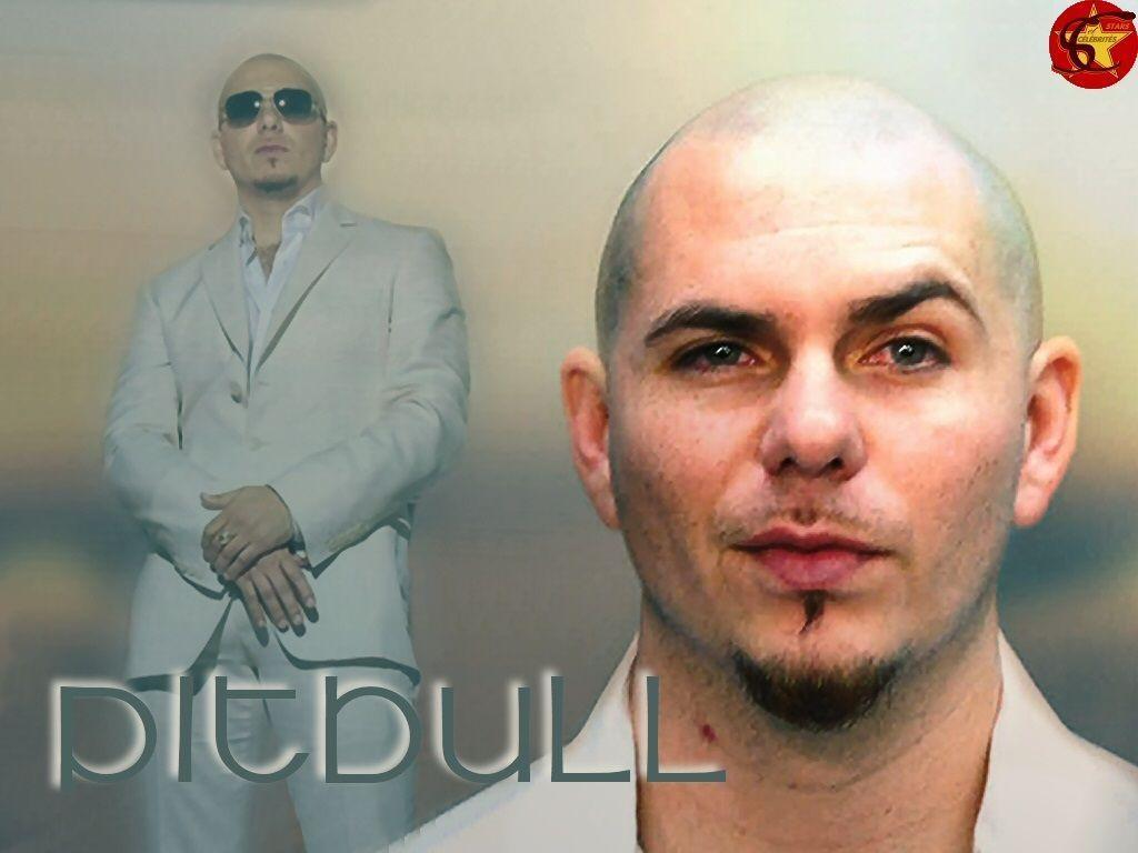 Pitbull Rapper Wallpaper & Picture