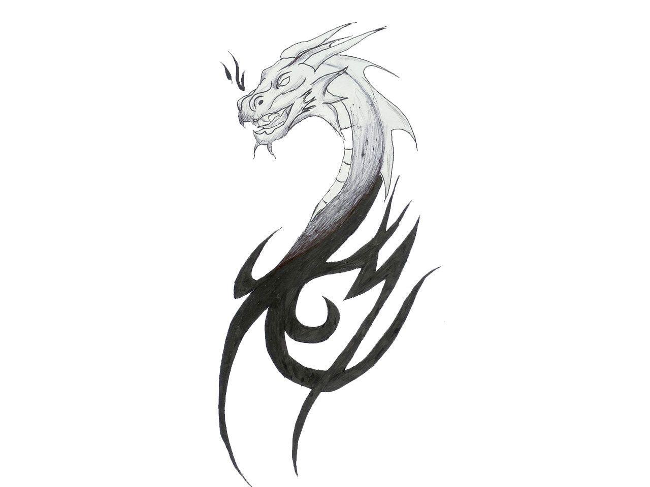 Free designs sketch of dragon head and neck wallpaper