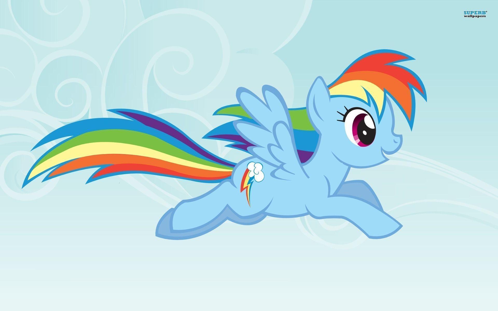 Rainbow Dash Little Pony Friendship is Magic wallpaper