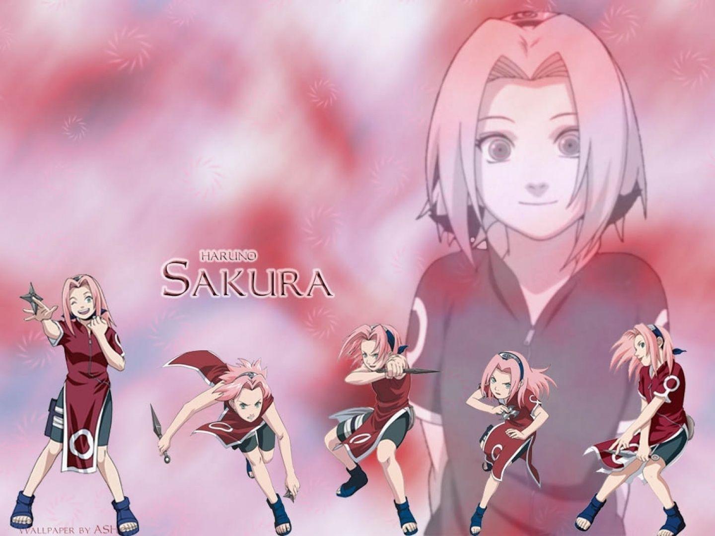 590 Sakura Haruno HD Wallpapers and Backgrounds