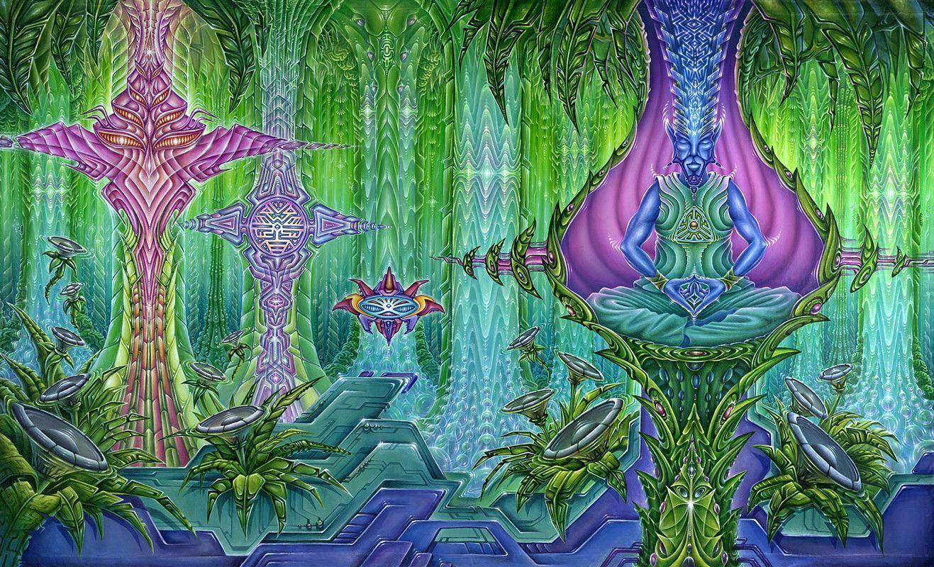 Pod Discussion To The DMT Nexus