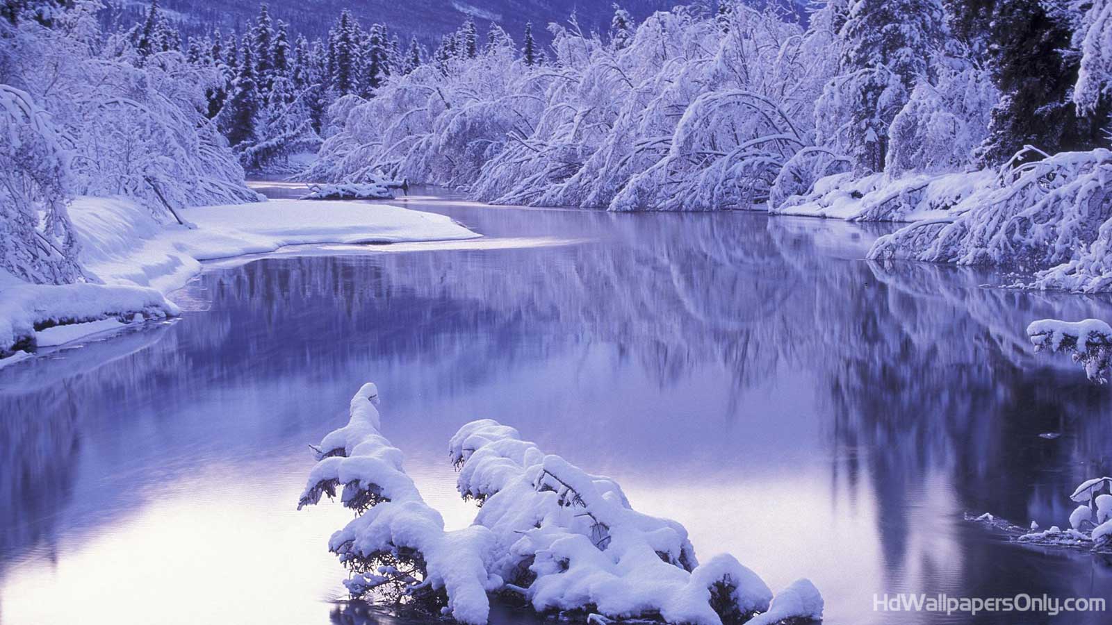 HD Wallpaper Only Collection From HdWallpaperOnly.comHD