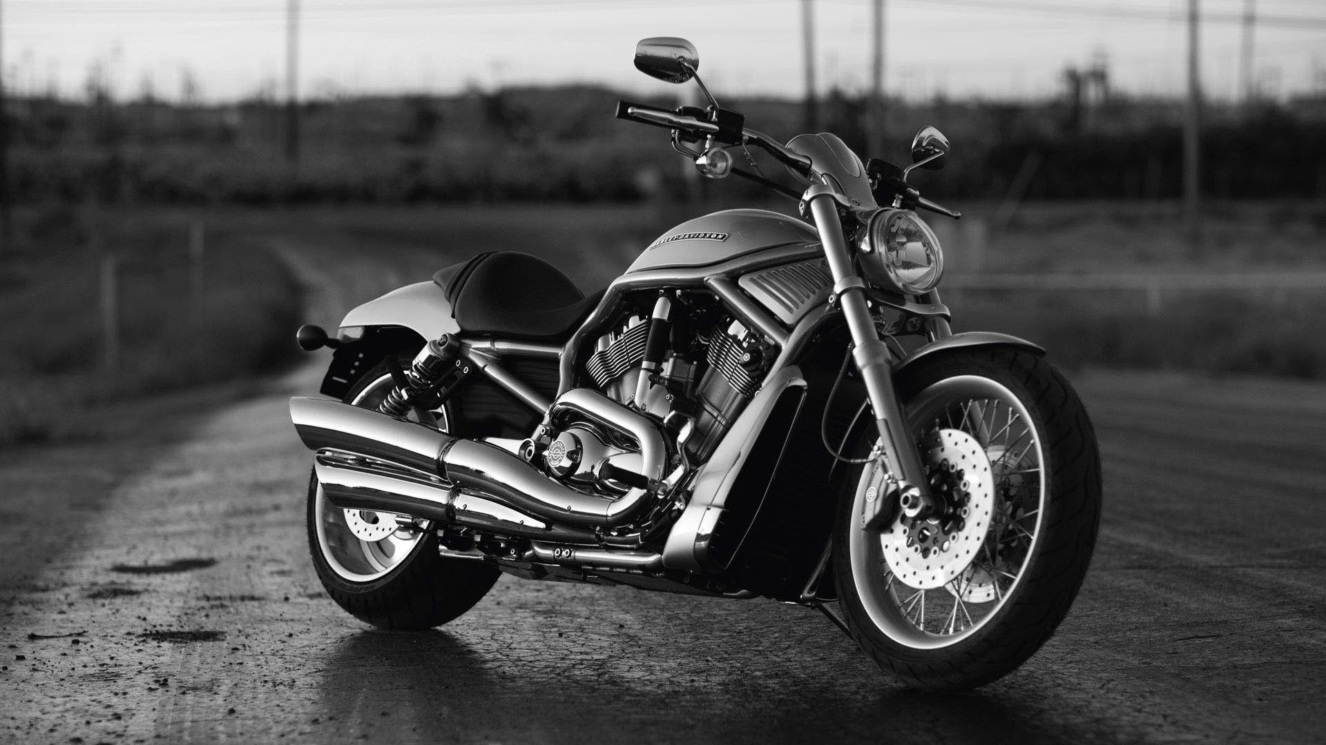 Harley davidson wallpaper widescreen.com. HD