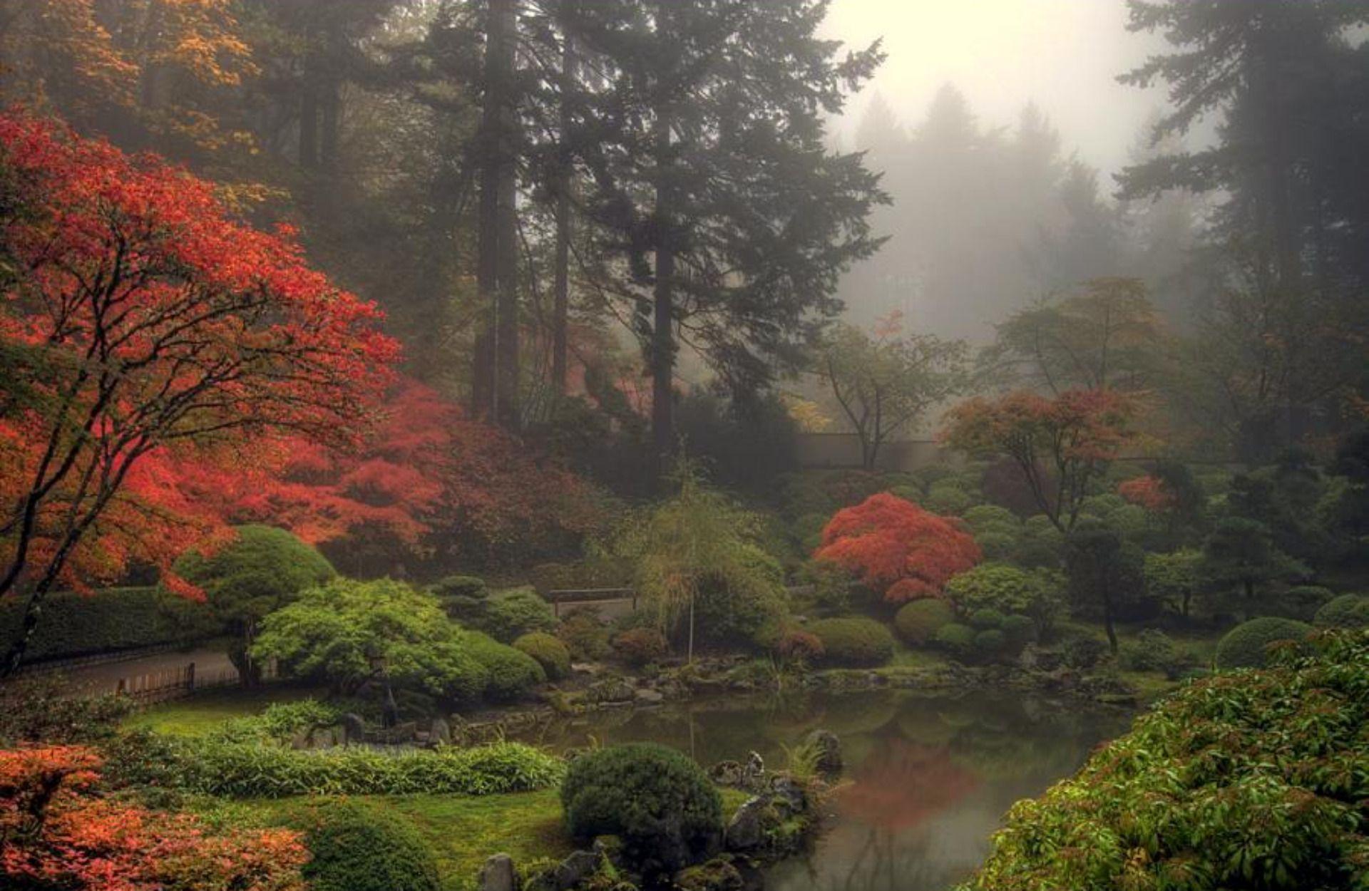 HD Foggy Japanese Garden Wallpapers