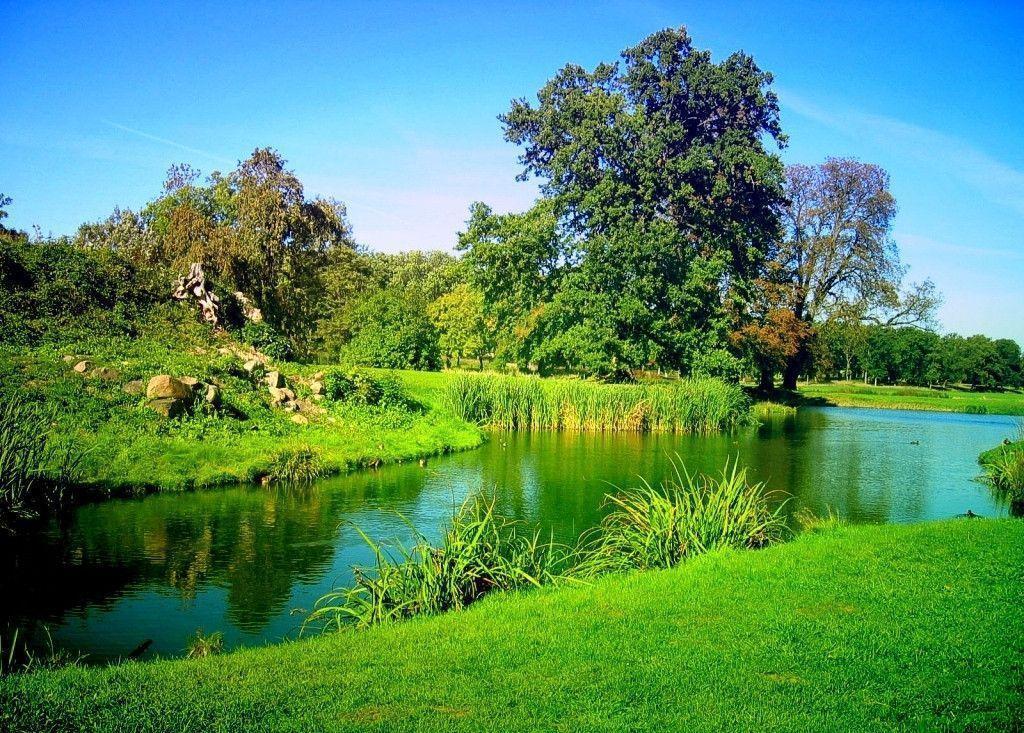 Free HD Nature Wallpaper. coolstyle wallpaper