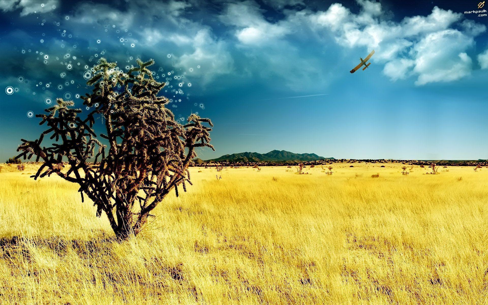 Free high resolution desktop wallpaper Wallpaper