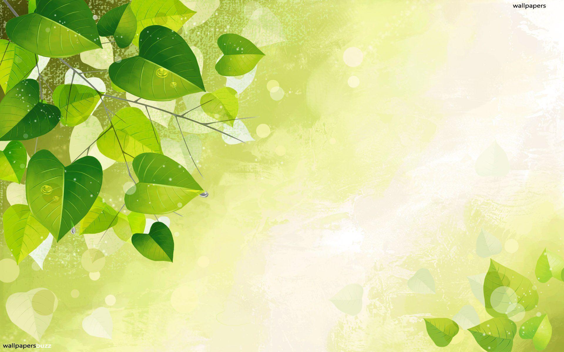 Green Leaves Wallpaper HD wallpaper search