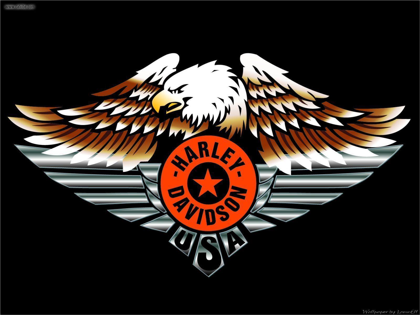 Harley Davidson Eagle Wallpaper 7500 Hd Wallpaper Harley Davidson