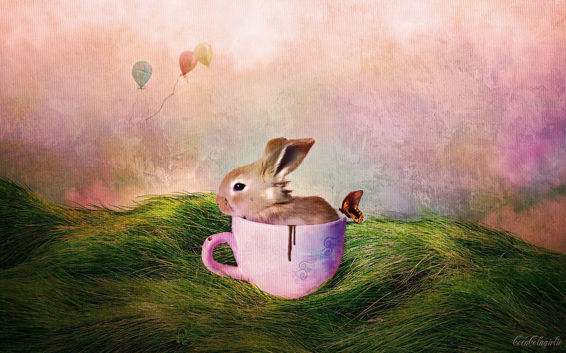 Free Wallpaper Bunny In Cup Wallpaper