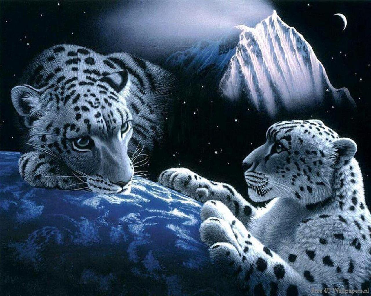 Mesmerizing Big Cats Wallpaper 1280x1024PX Wild Animals