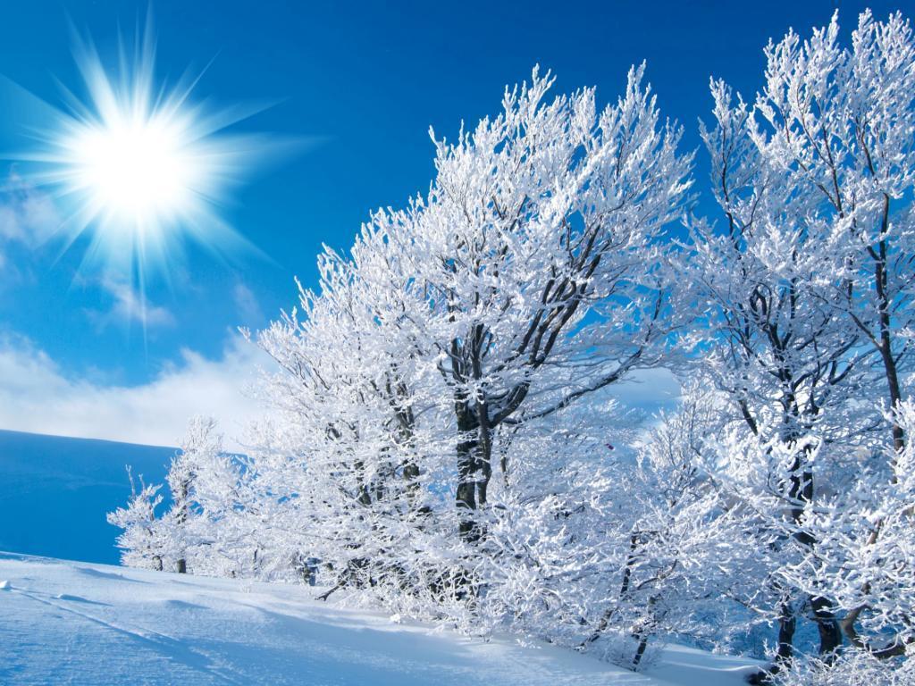 Winter Wallpaper Desktop Wallpaper 403