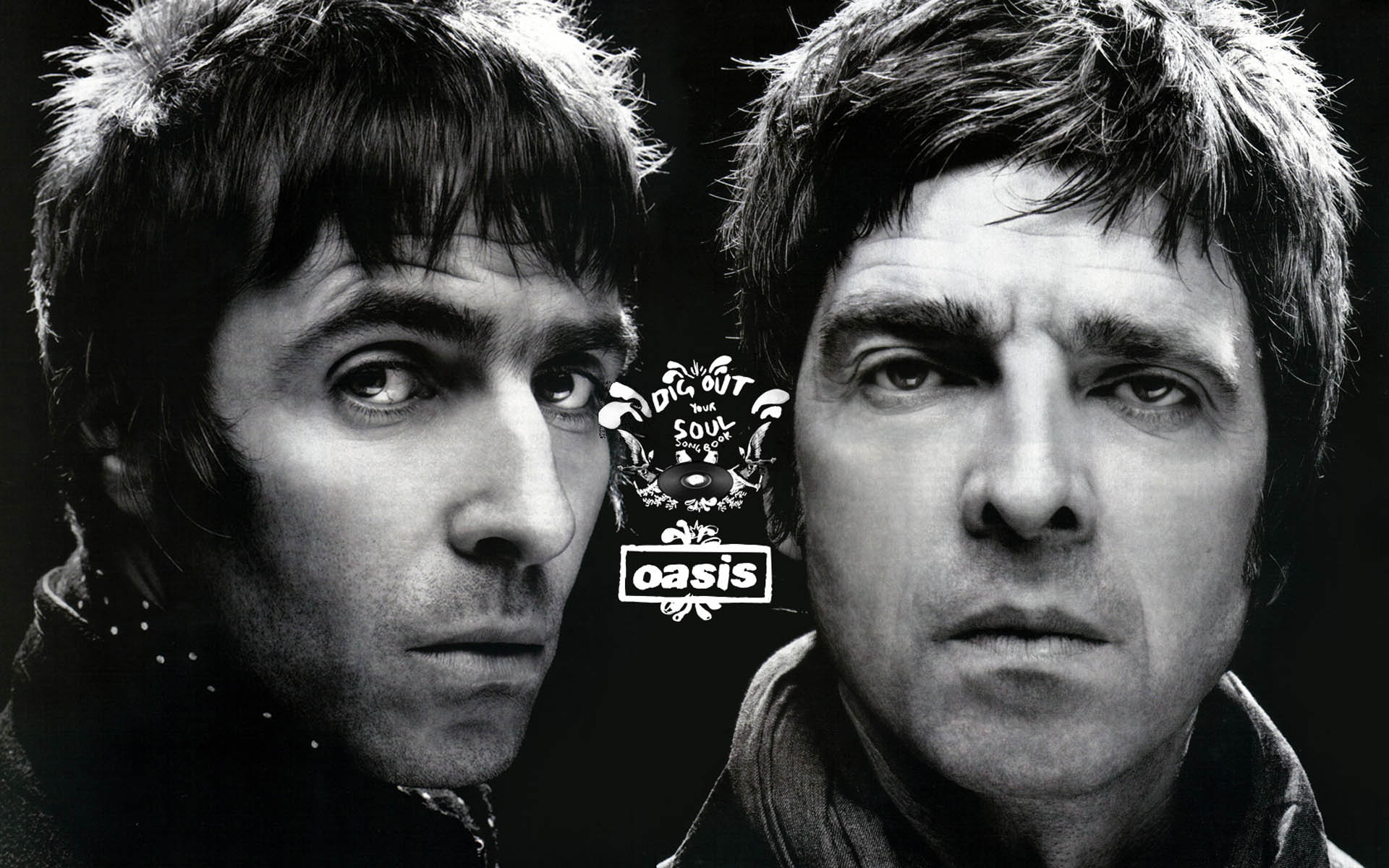 Oasis. Wallpaper HD free Download