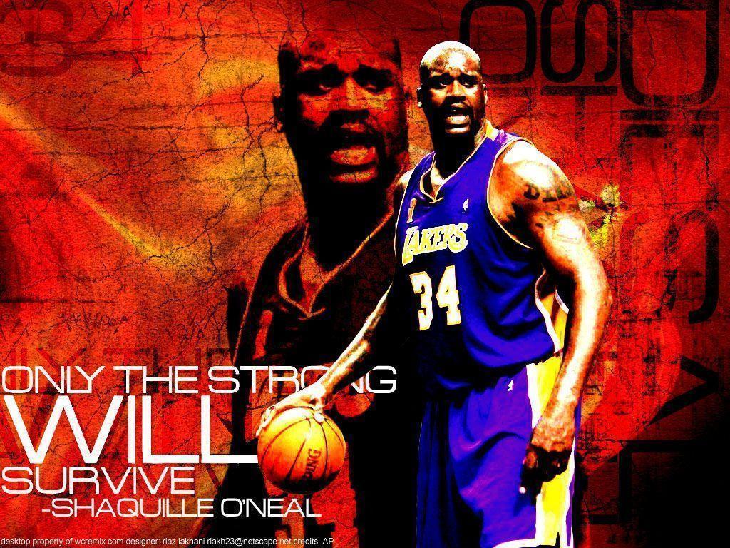 Shaquille O&Wallpapers
