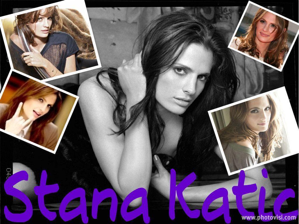 Stana Katic wallpaper 17