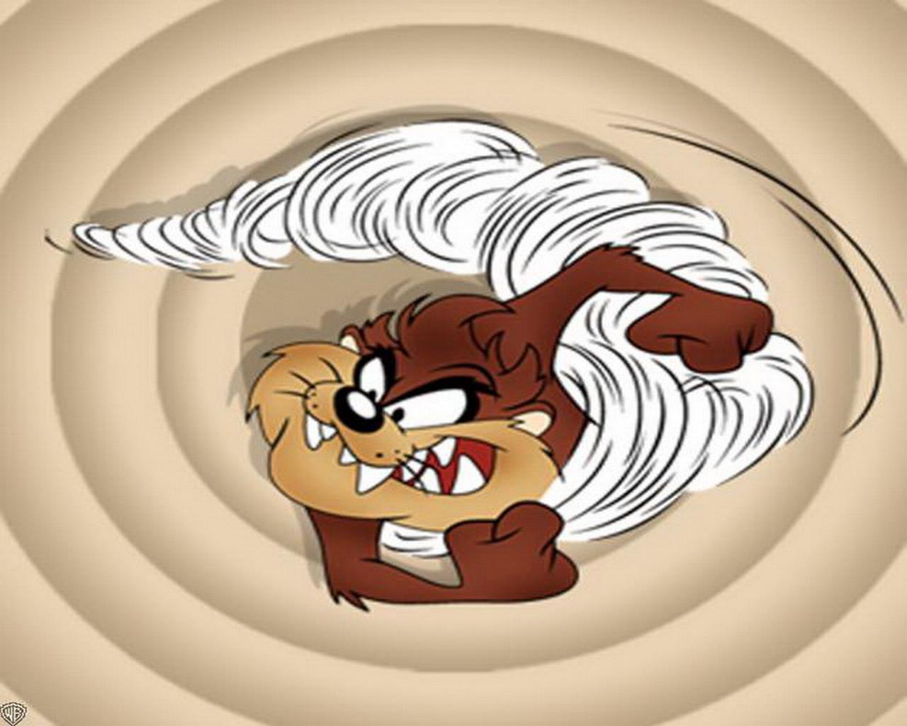 Angry Tasmanian Devil wallpapers Wallpapers
